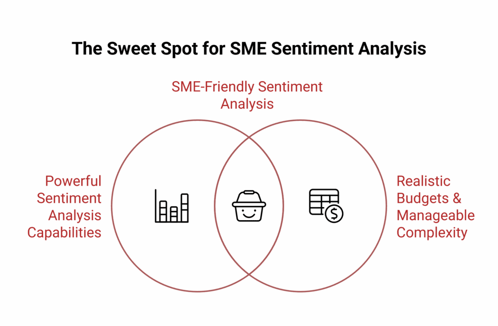 Venn diagram titled The Sweet Spot for SME Sentiment Analysis highlights the overlap between AI Sentiment Analysis capabilities, realistic budgets, and manageable complexity.